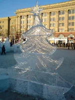 DSC00582.JPG