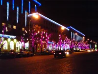 DSC00626.webp