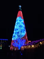 DSC00628.webp