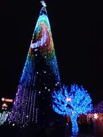 DSC00632.webp