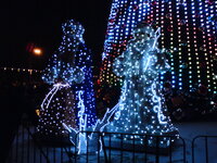 DSC00636.JPG