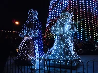 DSC00636.webp