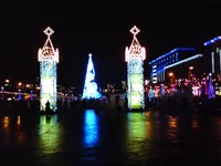 DSC00646.webp