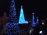 DSC00641.JPG