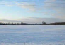 Canada 08 01 w.webp