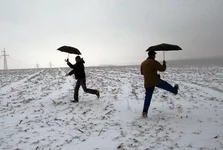 linka.webp linka.webp