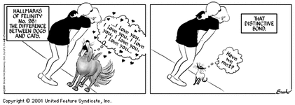 Hallmarks of Felinity.gif