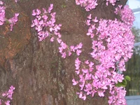IMG_4158.webp