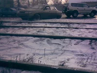 15022008(004).webp