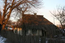 IMG_0980.JPG