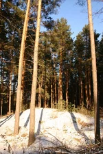 IMG_5956.webp