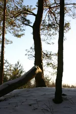 IMG_5976.JPG