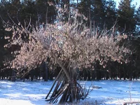 IMGA0232.jpg