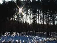 IMGA0260.webp