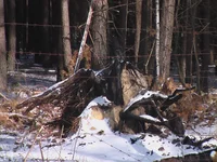 IMGA0250.jpg