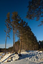 DSC_4793.jpg