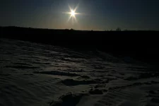 IMG_1567.jpg