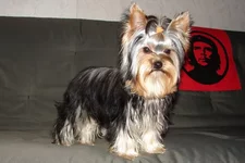 DSC03318_resize.webp