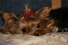 9ff0b4695702.webp