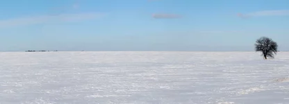 Flt[hj на конкурс.webp