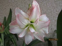 Resize of IMG_0324.webp