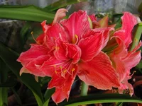 Resize of IMG_0303.webp
