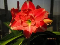 Resize of IMG_0306.webp