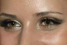 5555.webp