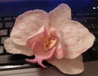 4 копия.webp