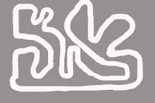 .webp
