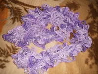 DSCN44172.webp