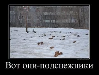 x_99f93f08.jpg
