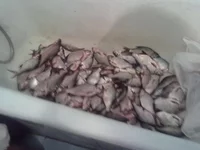 25032012258.webp