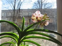 IMG_0431.webp