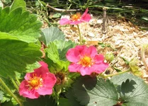 _MG_9657.webp