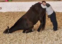 2012_03_07 Я56.webp