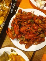 20240928_201258.jpg