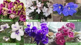 Продам срочно, в связи с выездом