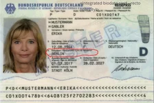 1727887669661.webp