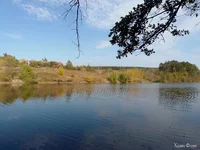IMG_20241012_103444.webp