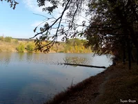 IMG_20241012_103524.webp