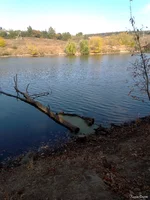 IMG_20241012_103840.jpg