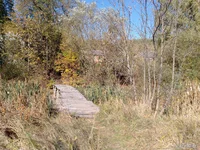 IMG_20241012_105455.jpg