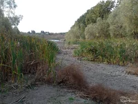 IMG_20241012_131507.webp