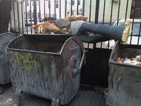 Photo-0002.webp