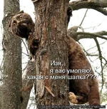0_1cfb9_ff2f2f3d_XL.webp