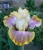 P1240855[1].webp