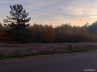 IMG_20241030_063358595_HDR.jpg