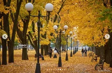 Screenshot_153.webp