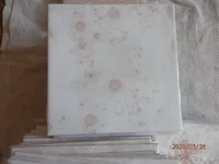 P3265001.webp